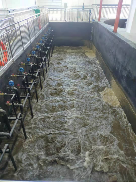 水產養殖廢水處理